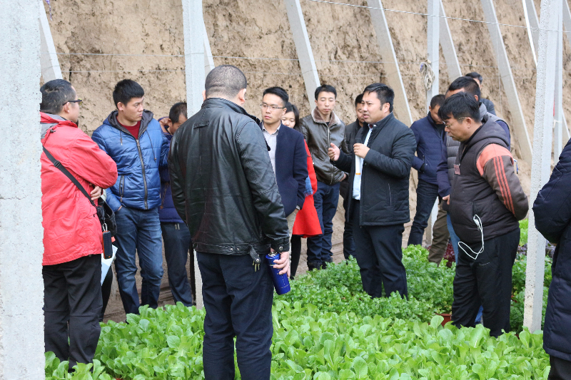 在盆栽蔬菜溫室，李軍老師給十二期學(xué)員講解盆栽蔬菜技術(shù)