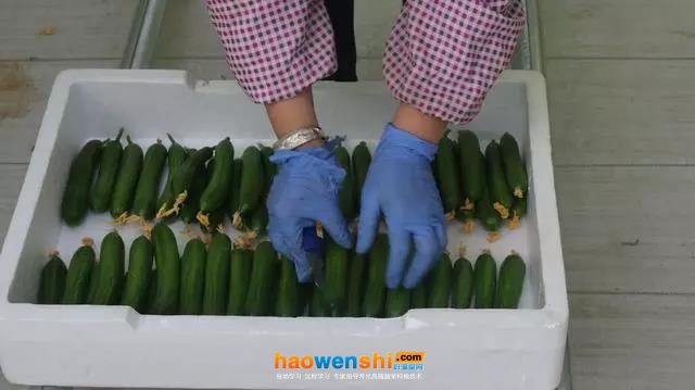 戳我试试