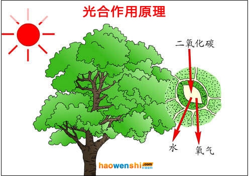 戳我试试