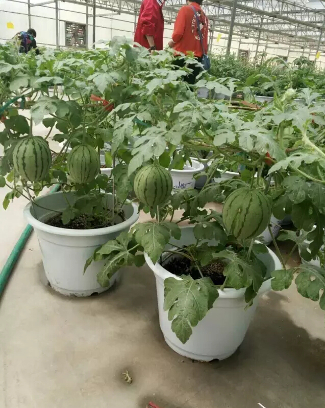 戳我试试
