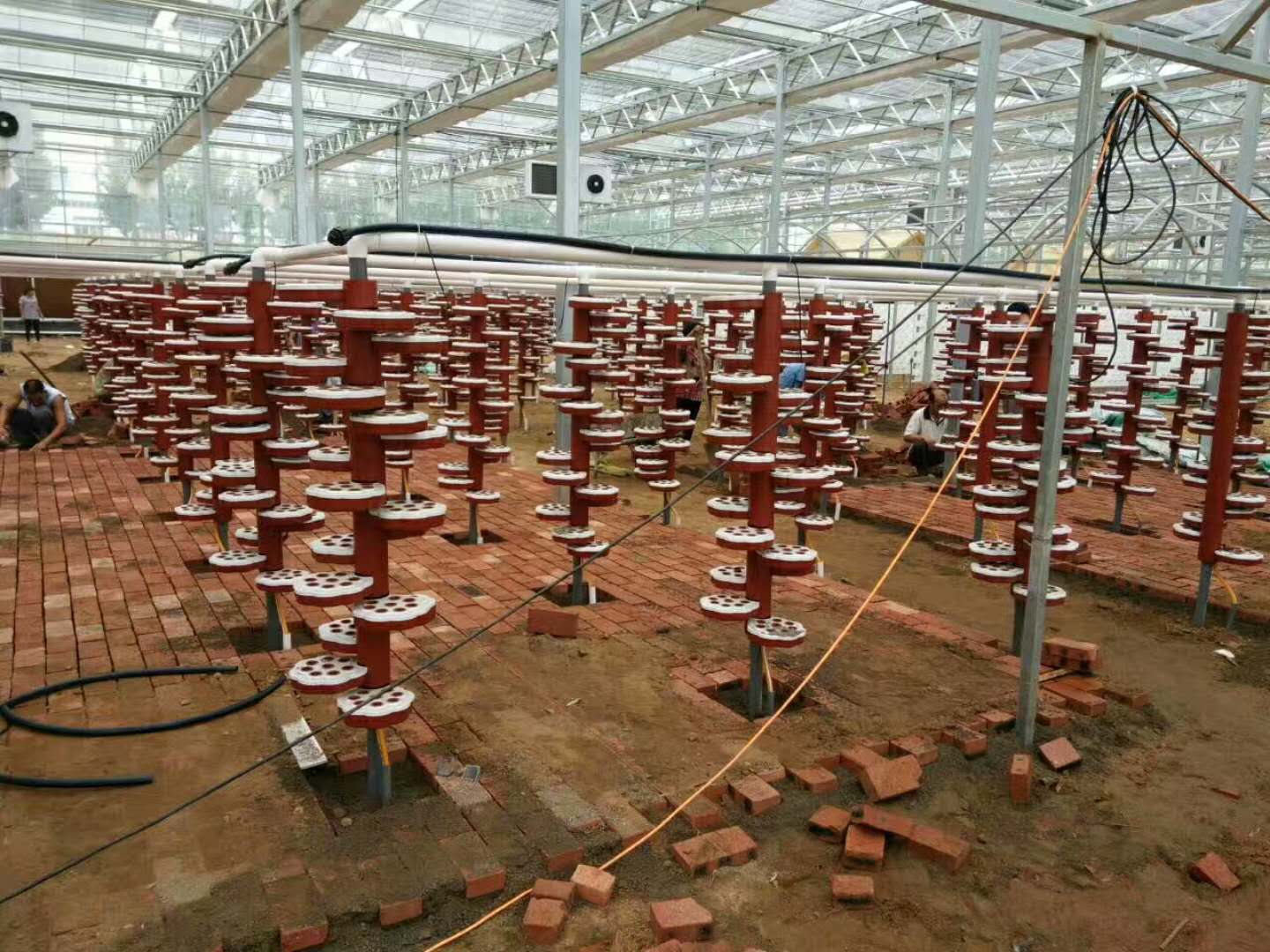 螺旋方生立柱式無土栽培在工程中的應(yīng)用.jpg