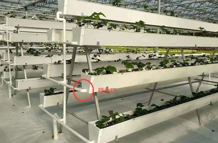 無土栽培椰糠種植排水口設(shè)計(jì).jpg
