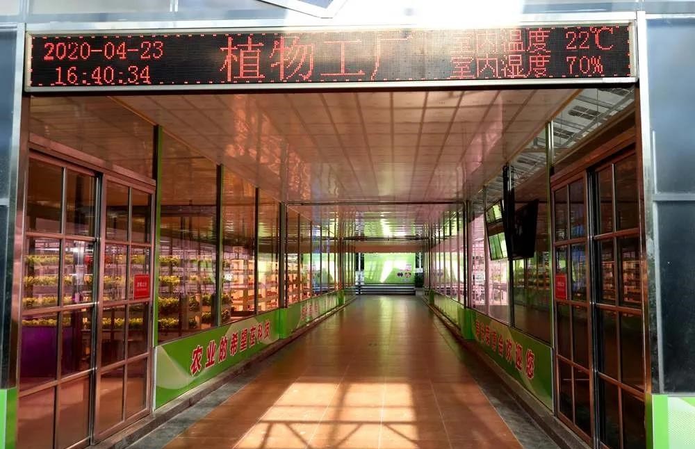 植物工廠.jpg