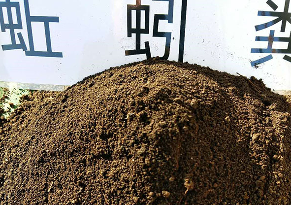 無(wú)土栽培.png