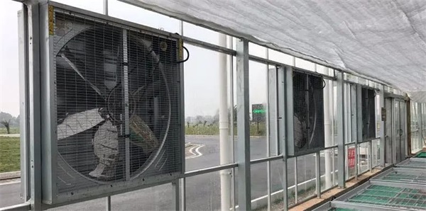 風機