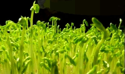 戳我试试
